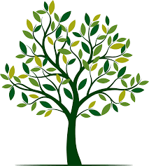 arbre